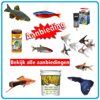 Aanbiedingen94